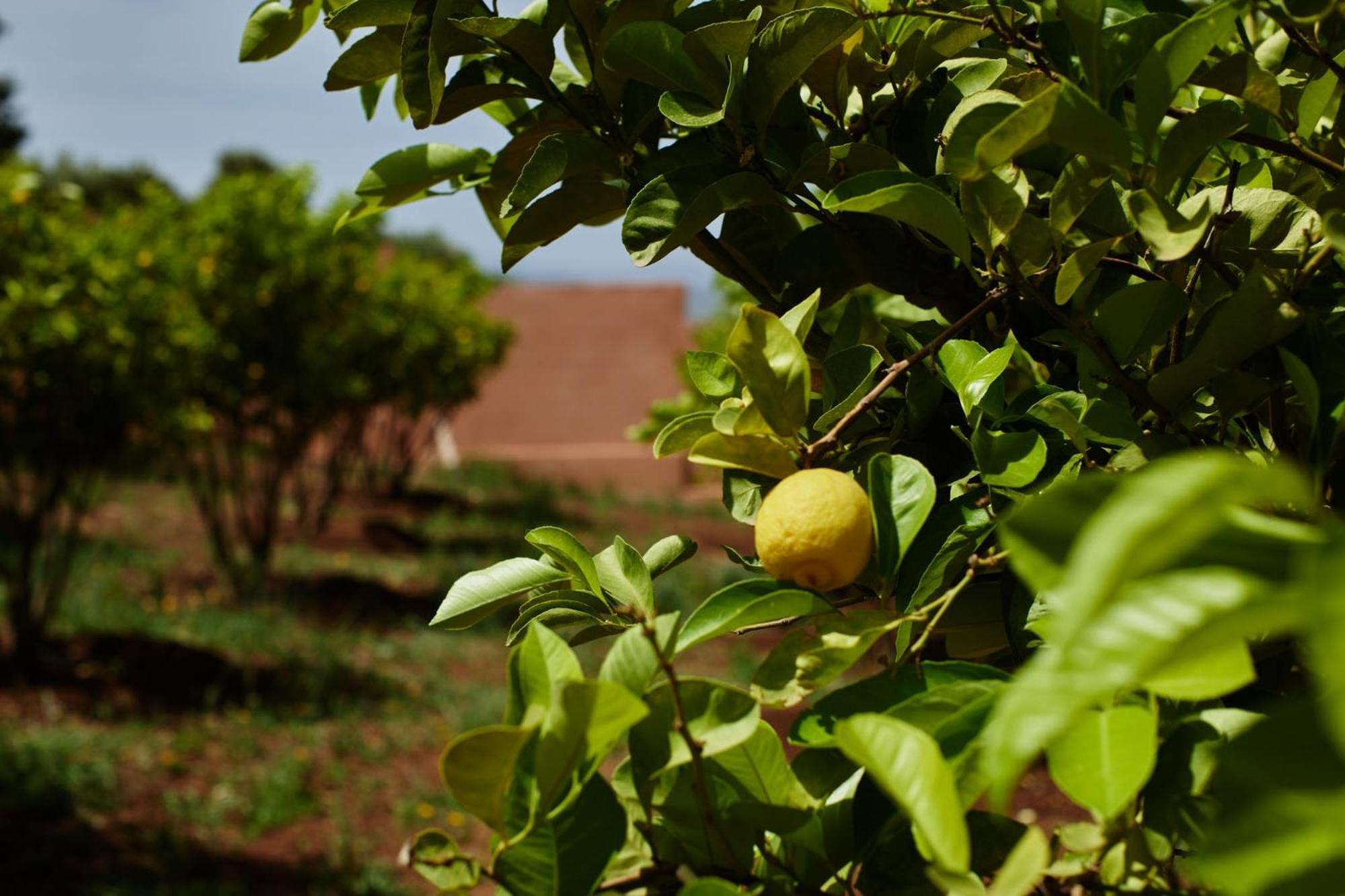 Dar Imiri Bed & Breakfast Ourika Exterior photo